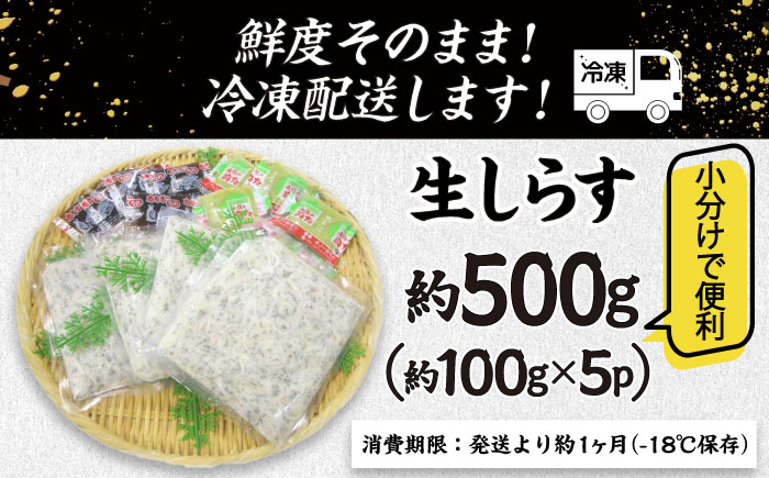 高知産「生シラス」イワシ稚魚約100g×5パック入り (タレ付)【興洋フリーズ株式会社】 [ATBX003]