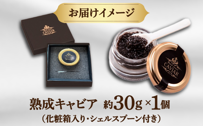 高知産熟成キャビア 約30g (化粧箱) シェルスプーン付Black Jewel 【興洋フリーズ株式会社】 [ATBX010]