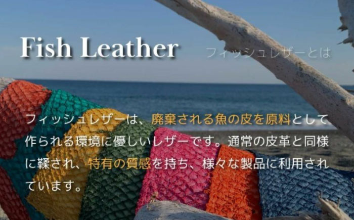 【Sea Green】Ocean Leather BOXコインケース【ブリ】【興洋フリーズ株式会社】 [ATBX069-04]
