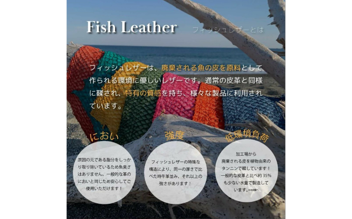 【Chestnut】Ocean Leather 名刺入れ【ブリ】M【興洋フリーズ株式会社】 [ATBX084-03]