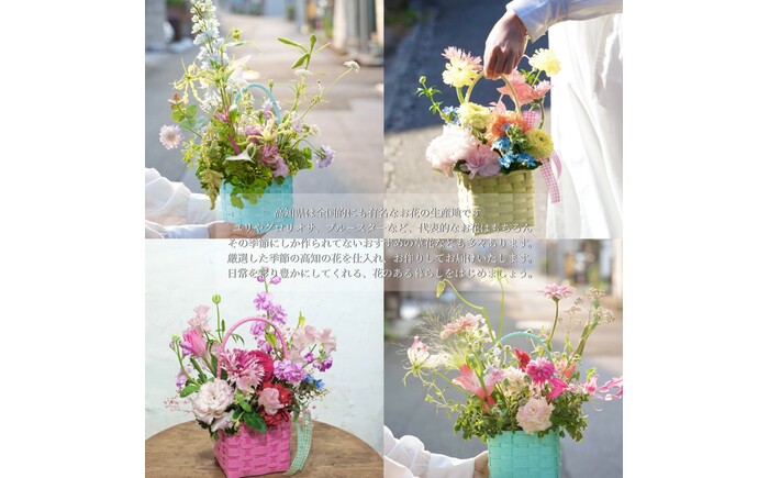 【3回定期便】季節の生花カラーバスケットフラワーS / お花 フラワー ミニサイズ アレンジメント カラーバスケット おしゃれ インテリア 省スペース プチギフト おまかせ 手作り 雑貨 季節の便り 初心者 高知【株式会社tomoni】 [ATCG056]