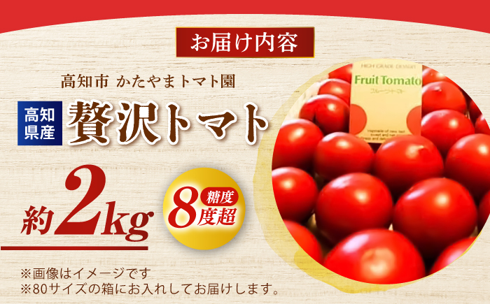【先行予約】高知県高知市産 贅沢フルーツトマト 約2kg 〈2026年2月から発送〉 【片山農園】[ATCI001]