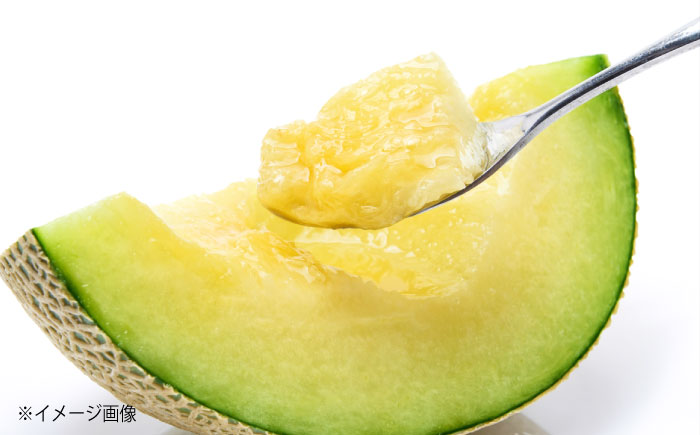 【先行予約】 高知市 春野町産 マスクメロン 2玉 (約2.8kg～約3.4kg 箱重量込み) 〈2026年9月10日～2026年9月15日発送〉 【片山農園】 [ATCI002]