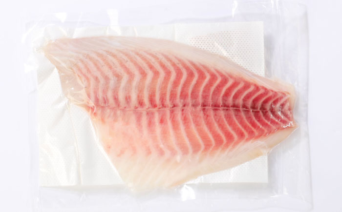 土佐黒潮真鯛・フィレ（皮なし）2枚（約600～800g）【株式会社　羽根】 [ATCK013]