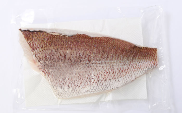 土佐黒潮真鯛の湯引き（皮付き）2枚（約500～700g）【株式会社　羽根】 [ATCK014]