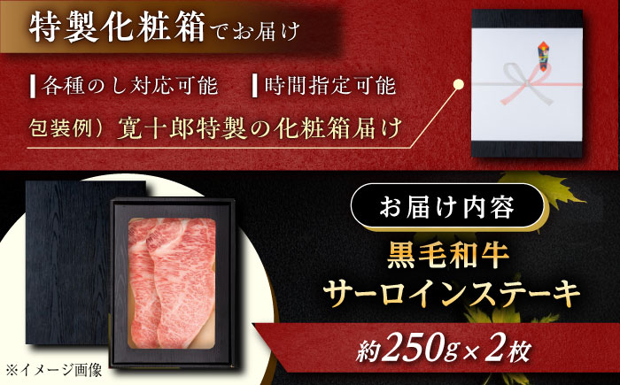 高知 黒毛和牛 ステーキ 約500g(約250g×2枚) / 高知 お肉 牛肉 牛 サーロイン 贈答 ギフト 贅沢 【焼肉寛十郎】 [ATDO011]