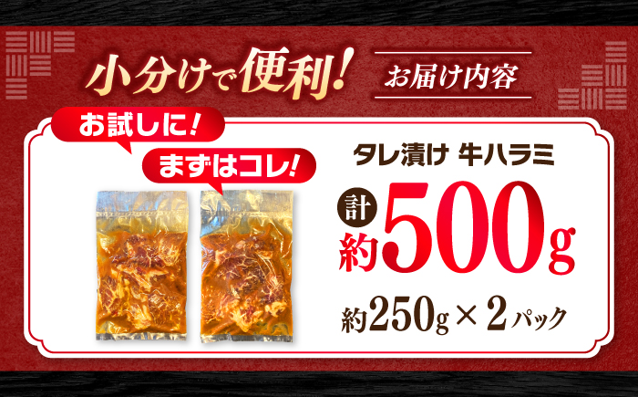 タレ漬け 牛ハラミ 約250g×2パック 計約500g 【焼肉寛十郎】 小分け 個包装 味付け タレ たれ 高知県 お肉 牛肉 贅沢 焼き肉 BBQ バーベキュー 訳あり わけあり ワケアリ はらみ [ATDO013]