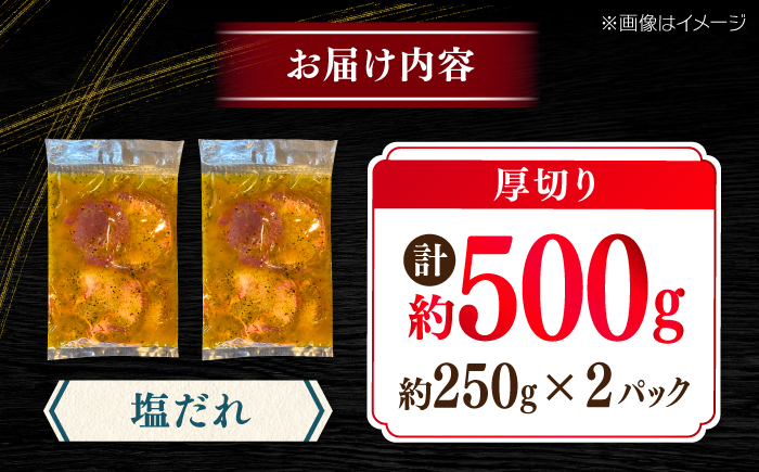 厚切り 牛タン 塩だれ 約250g×2パック 計約500g   小分け 個包装 味付け タレ たれ 高知県 お肉 牛肉 贅沢 焼き肉 BBQ バーベキュー 訳あり わけあり 【焼肉寛十郎】 [ATDO021]