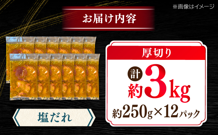 厚切り 牛タン 塩だれ 約250g×12パック 計約3kg 小分け 個包装 味付け タレ たれ 高知県 お肉 牛肉 贅沢 焼き肉 BBQ バーベキュー 訳あり わけあり ワケアリ 牛たん 【焼肉寛十郎】 [ATDO024]