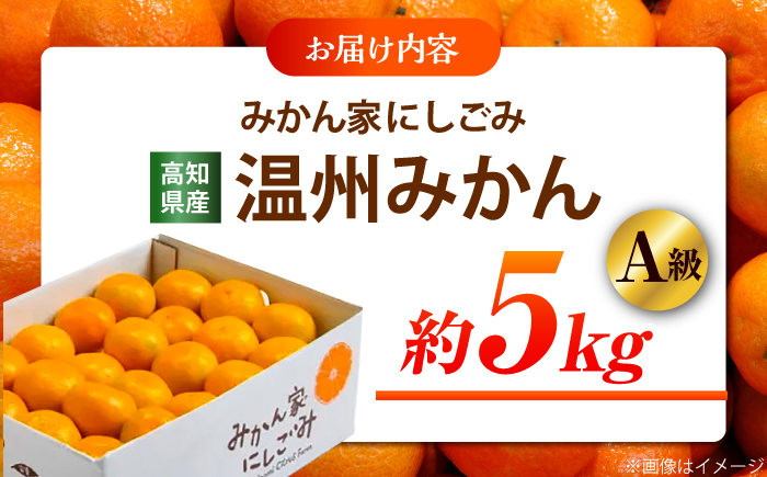 ＜サイズおまかせ＞高知県産温州みかんA級品 約5kg / みかん 柑橘 オレンジ 高知県 温州 【株式会社にしごみ】 [ATEA009]