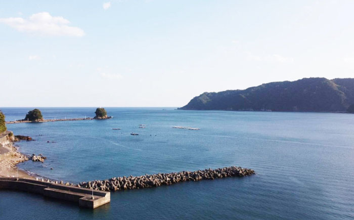 藁焼きかつおたたき 約1kg / 藁焼き かつおたたき 鰹のたたき 鰹 カツオ かつお たたき 海鮮 刺身 塩 ポン酢 【株式会社 大洋水産】 [ATHC002]