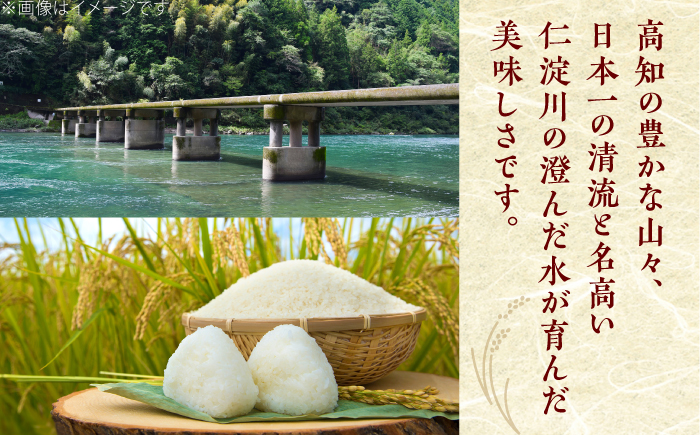 新米 R7年度産 花屋が作ったお米（約3kg）/ 米 お米 ご飯 白米 食品 炊飯 グルメ　【見元園芸】 [ATHY005]