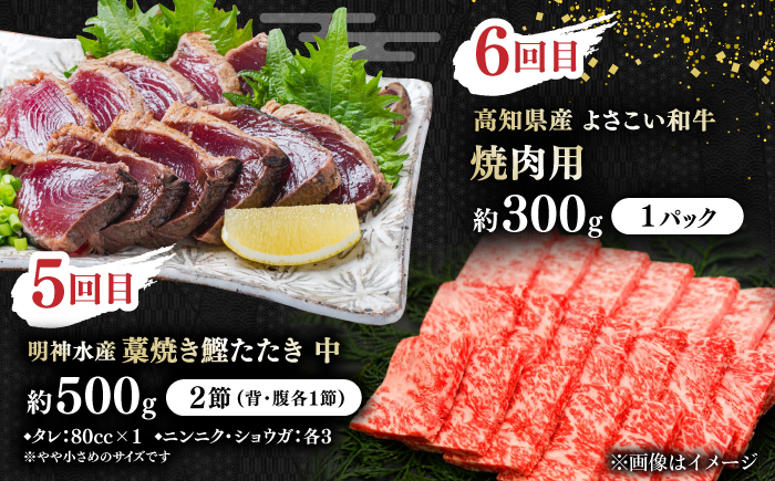 【6回定期便】カツオと和牛の赤身定期便/カツオ 食べ比べ 鰹のセット 土佐和牛 牛肉 高知市 こだわりのかつお [ATZX019]