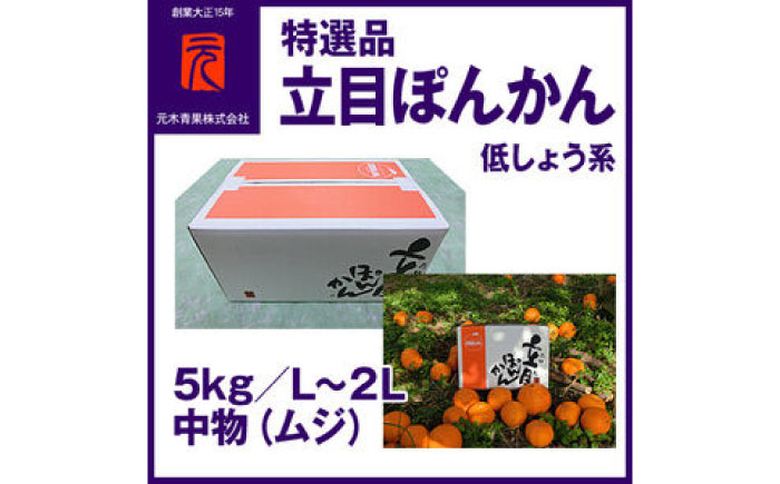 特選品立目ぽんかん（低しょう系）約5kg | L～２L 中物（ムジ）【グレイジア株式会社】 [ATAC331]