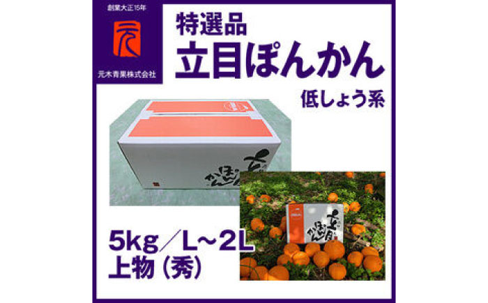 特選品立目ぽんかん（低しょう系）約5kg | L～２L 上物（秀）【グレイジア株式会社】 [ATAC332]