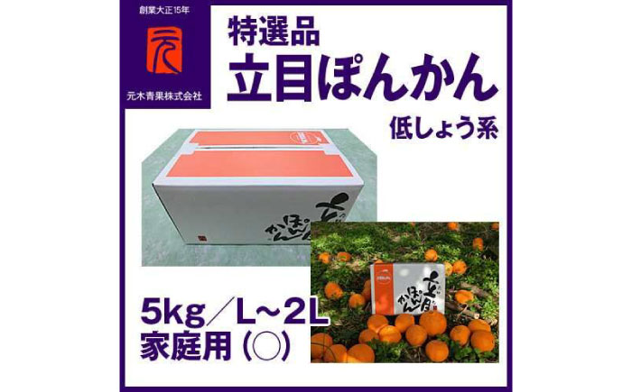 特選品立目ぽんかん（低しょう系）約5kg | L～２L 家庭用 【グレイジア株式会社】 [ATAC335]
