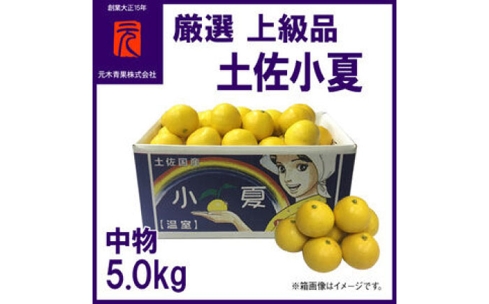 厳選上級品中物土佐小夏約5.0kgＳ～Ｍサイズ/【グレイジア株式会社】 [ATAC338]