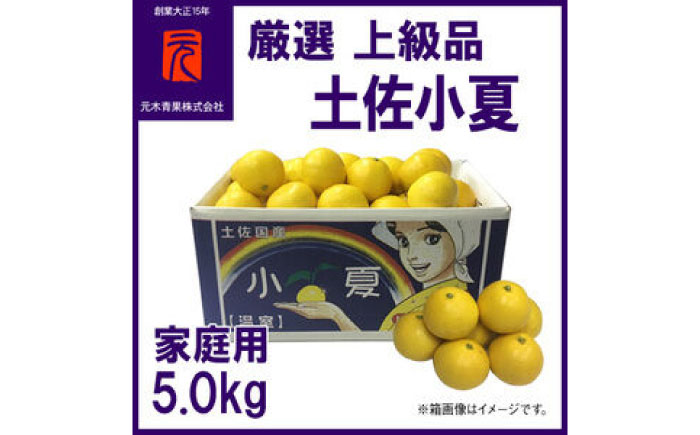 厳選上級品家庭用土佐小夏約5.0kgＭ～Ｌサイズ【グレイジア株式会社】 [ATAC339]