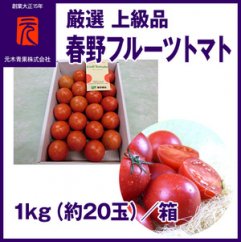 春野フルーツトマト 厳選 上級品 約1kg（約20玉）| 元木青果  【グレイジア株式会社】[ATAC345]