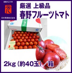 春野フルーツトマト 厳選 上級品 約2kg（約40玉） | 元木青果  【グレイジア株式会社】[ATAC346]