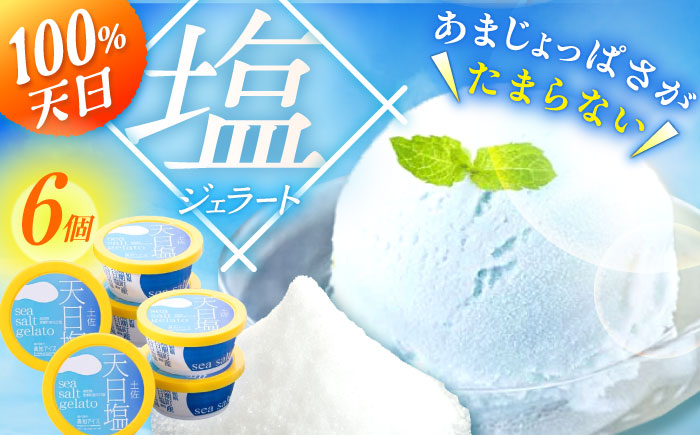Made in 土佐 天日塩ジェラート6個 塩アイス 高知アイス カップ / スイーツ アイス アイスクリーム【グレイジア株式会社】[ATAC368]