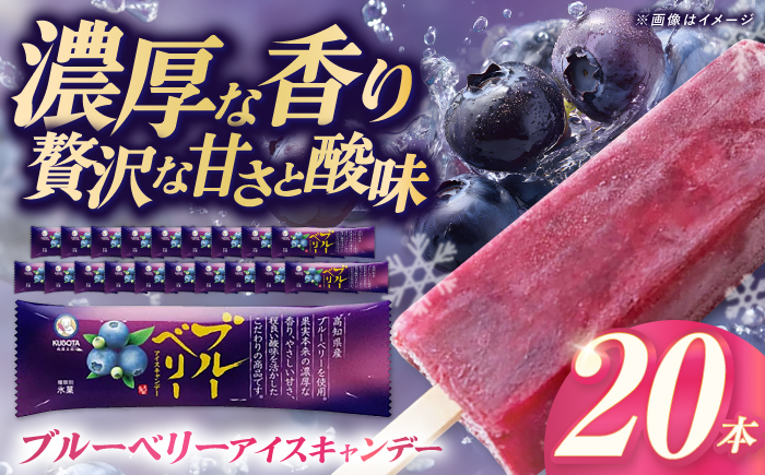 久保田食品 ブルーベリーアイスキャンデー 20本入 添加物不使用 / アイス アイスキャンデー アイスクリーム 冷凍 ブルーベリー ベリー 果物 フルーツ セット デザート スイーツ 【グレイジア株式会社】 [ATAC599]