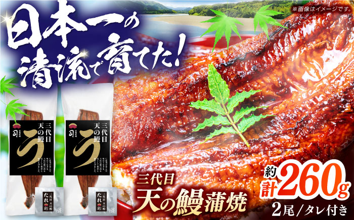 土佐料理司 三代目天の鰻蒲焼2尾セット 高知市 春野町産 / 鰻 ウナギ うなぎ かば焼き【株式会社土佐料理司】[ATAD020]