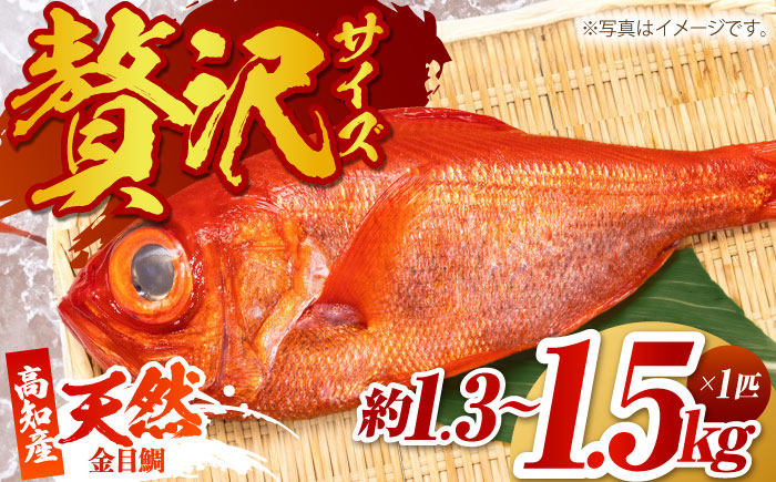 高知県産 天然 金目鯛 約1.3kg～1.5kg 〈2025年2月～発送〉 /内臓・うろこ処理済み 刺身 煮付け たい タイ キンメダイ 【株式会社　四国健商】 [ATAF004]