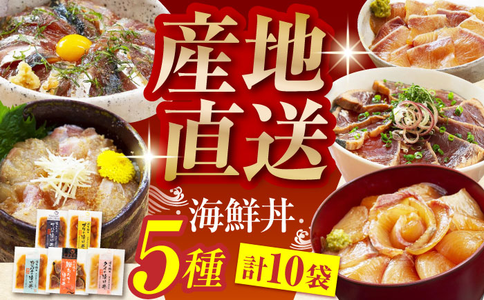 土佐の海鮮丼の素 5種各2袋 (合計10袋セット) 【株式会社 四国健商】 [ATAF017]