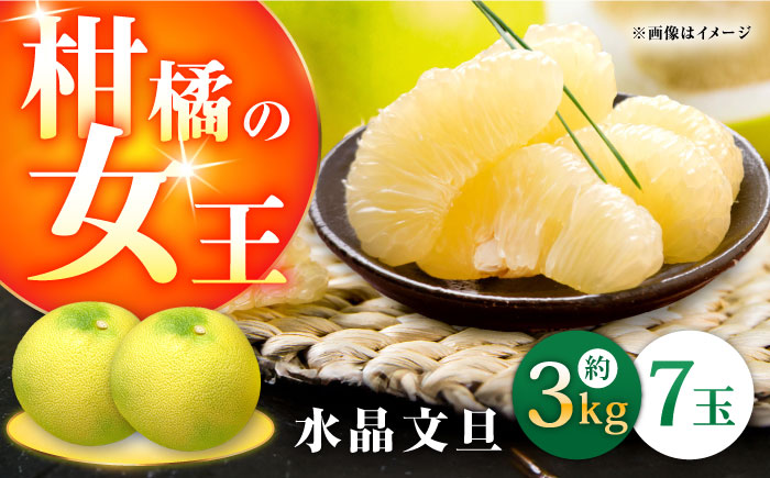 高知県産 水晶文旦 約3kg 7玉入 贈答用〈2026年9月下旬～11月上旬頃発送〉/  高知 水晶 文旦 柑橘 果物 フルーツ くだもの 贈答 お中元 お歳暮 ギフト ぶんたん 【株式会社　四国健商】[ATAF031]