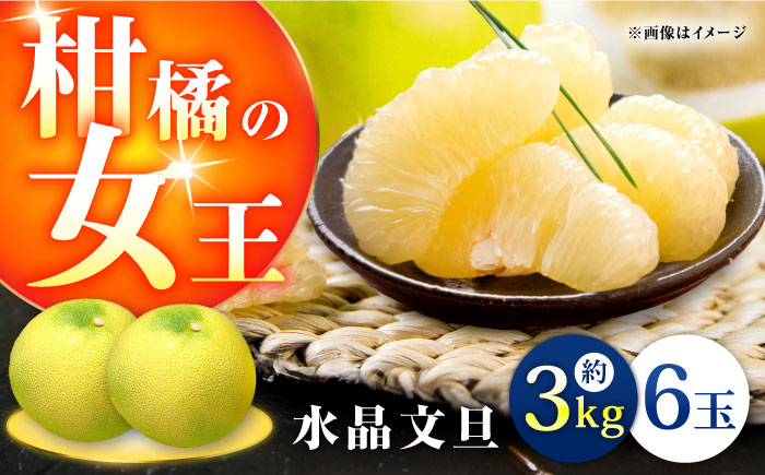 高知県産 水晶文旦 約3kg 6玉入 贈答用〈2026年9月下旬～11月上旬頃発送〉 /  高知 水晶 文旦 柑橘 果物 フルーツ くだもの 贈答 お中元 お歳暮 ギフト ぶんたん 【株式会社　四国健商】[ATAF032]