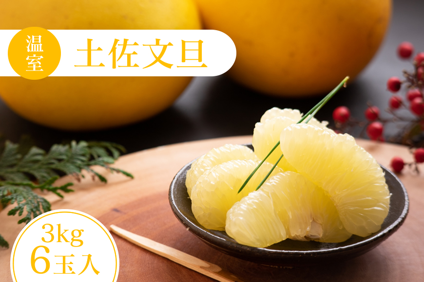 高知特産　温室（ハウス）土佐文旦　約3kg・6玉入〈2026年11月下旬～2027年1月上旬頃発送〉【株式会社四国健商】 [ATAF036]