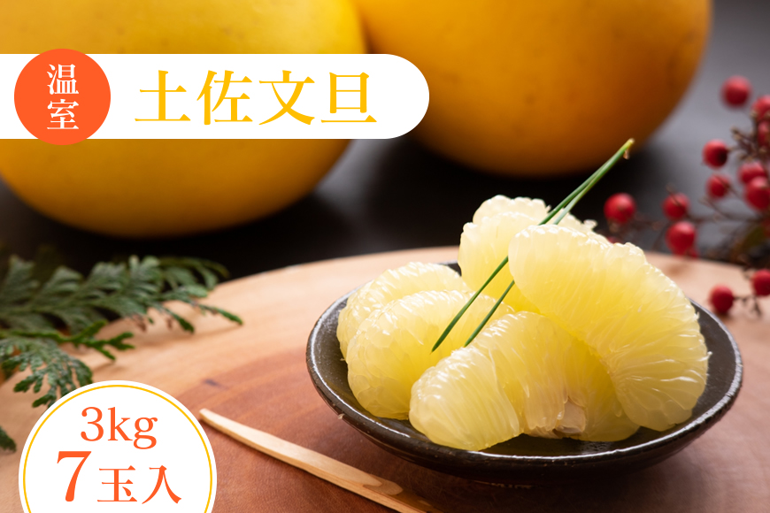 高知特産　温室（ハウス）土佐文旦　約3kg・7玉入〈2026年11月下旬～2027年1月上旬頃発送〉【株式会社四国健商】 [ATAF037]