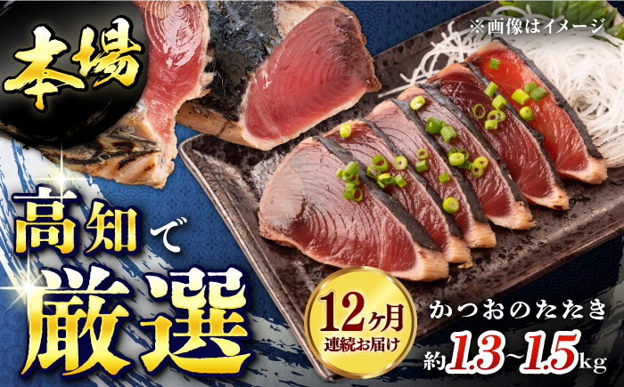【12回定期便】満腹!かつおのたたき 約1.3kg~1.5kg 総計約15.6kg～18kg 【株式会社 四国健商】 [ATAF094]