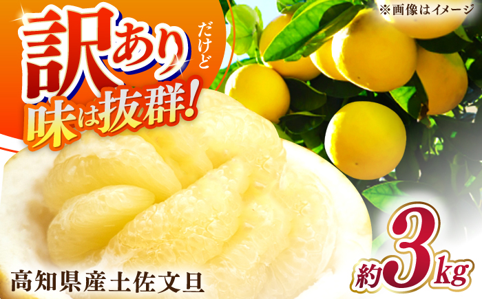 【先行予約】高知県産 訳あり 土佐文旦 約3kg 〈2026年2月～発送〉 / 傷 シミの訳アリ  大容量 ぶんたん 文旦 訳あり わけあり 果物 【株式会社　四国健商】 [ATAF151]