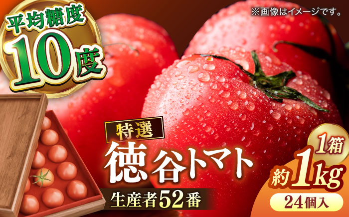 【先行予約】プレミアム徳谷トマト約1kg 24個入り 生産者52番 (ウォールナットケース入り)〈2026年1月中旬～2026年5月下旬頃発送〉/ フルーツトマト とまと フルーツ 果物 季節もの 【フルーツショップオザキ】[ATAH001]