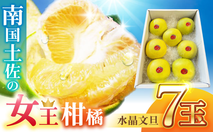 南国土佐の女王柑橘 水晶文旦 約3kg 7玉入り〈2025年9月中旬～2025年12月下旬頃発送〉/ 文旦 ぶんたん フルーツ 果物 3キロ 高知県 【フルーツショップオザキ】 [ATAH006]