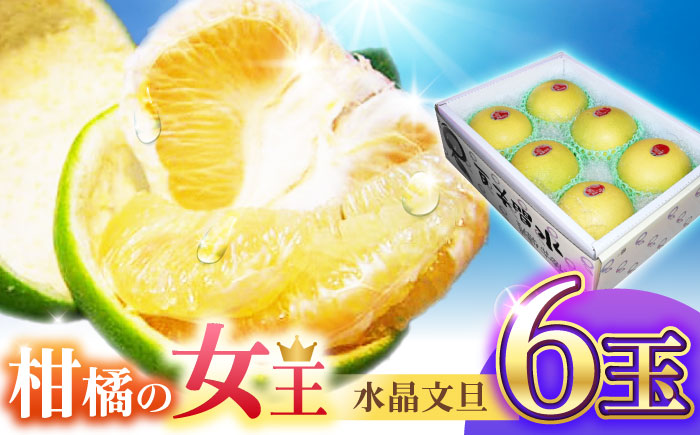 南国土佐の女王柑橘 水晶文旦 約3kg 6玉入り〈2025年9月中旬～2025年12月下旬頃発送〉/ ぶんたん 文旦 フルーツ 高知名物 果物 【フルーツショップオザキ】 [ATAH007]