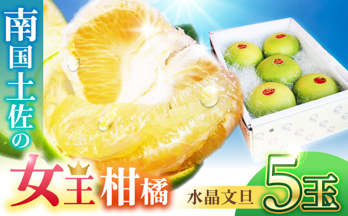 南国土佐の女王柑橘 水晶文旦 約3kg 5玉入り〈2025年9月中旬～2025年12月下旬頃発送〉/ 文旦 ぶんたん フルーツ 果物 3キロ 高知県 【フルーツショップオザキ】 [ATAH008]