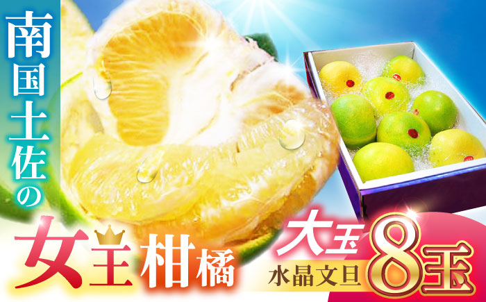 南国土佐の女王柑橘 水晶文旦 約5kg 8玉入り〈2025年9月中旬～2025年12月下旬頃発送〉/ 大玉サイズ 文旦 ぶんたん フルーツ 果物 5キロ 高知県 【フルーツショップオザキ】 [ATAH009]