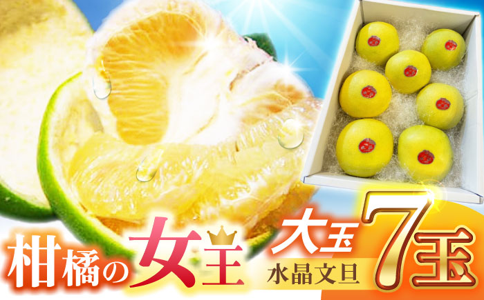 南国土佐の女王柑橘 水晶文旦 約5kg 7玉入り〈2025年9月中旬～2025年12月下旬頃発送〉/ 大玉サイズ ぶんたん 文旦 フルーツ 高知名物 果物 【フルーツショップオザキ】 [ATAH010]