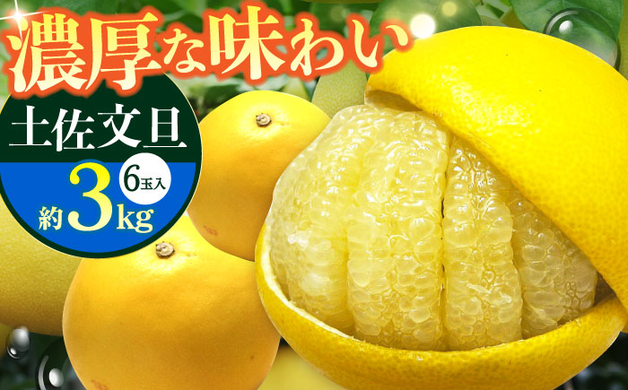 【先行予約】南国高知温室土佐文旦 約3kg 6玉〈2025年11月中旬～2026年2月中旬頃発送〉/ 文旦 ぶんたん フルーツ 果物 3キロ 高知県 【フルーツショップオザキ】[ATAH012]