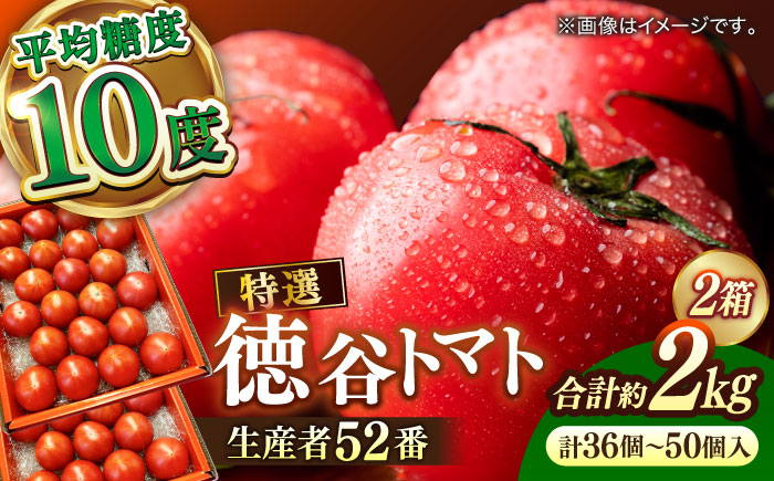 【先行予約】特選 徳谷トマト 約2kg 生産者52番 〈2026年1月中旬～2026年6月下旬頃発送〉/ トマト フルーツトマト 【フルーツショップオザキ】[ATAH014]