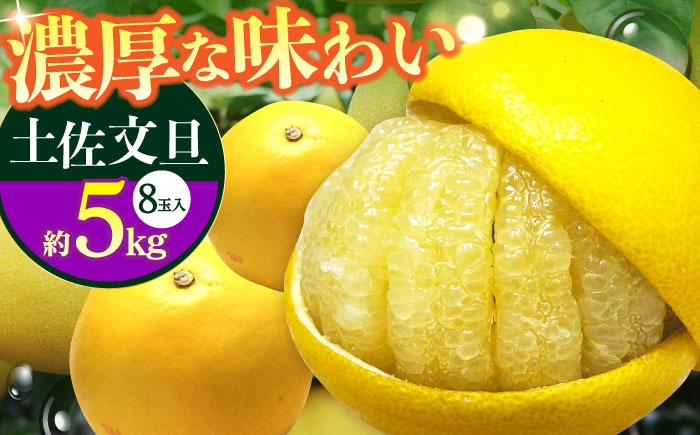 【先行予約】南国高知温室土佐文旦 約5kg 8玉〈2025年11月中旬～2026年2月中旬頃発送〉/ 文旦 ぶんたん フルーツ 果物 5キロ 高知県 【フルーツショップオザキ】[ATAH015]