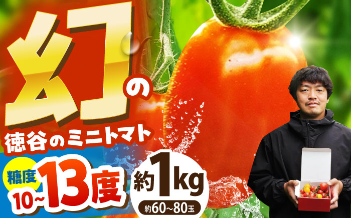 【先行予約】 徳谷はじまりトマトのミニトマト 約1kg ミックス〈2026年3月～発送〉 /ミニ プチ トマト 高糖度 高知トマト 【株式会社Dorago】 [ATAM051]
