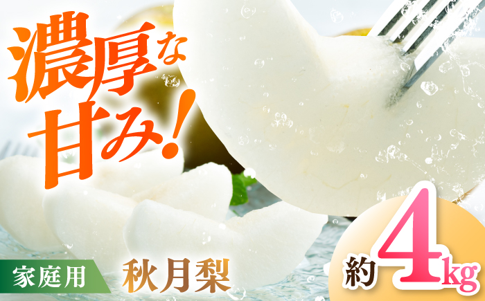 【先行予約】 川渕果樹園 秋月梨 約4kg 家庭用 〈2025年10月～発送〉 / 梨 なし ナシ  果物 フルーツ デザート 秋 甘い ジューシー 【株式会社Dorago】 [ATAM059]