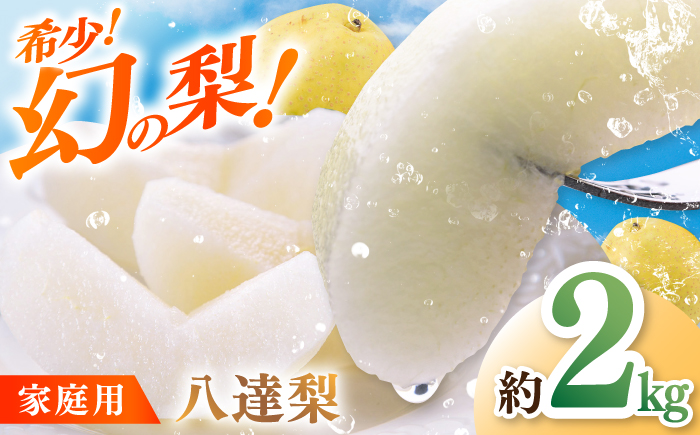 【先行予約】 川渕果樹園 八達梨 約2kg 家庭用 〈2025年10月～発送〉 / 梨 なし ナシ 果物 フルーツ デザート 秋 甘い ジューシー 【株式会社Dorago】 [ATAM060]