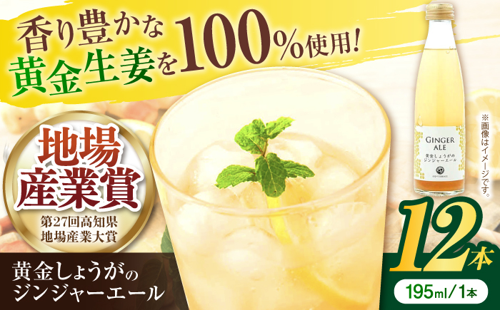 黄金しょうがのジンジャーエール12本/ 土佐生姜 スパークリング ジンジャーエール 爽やか【はるのTERRACE】 [ATAV002]