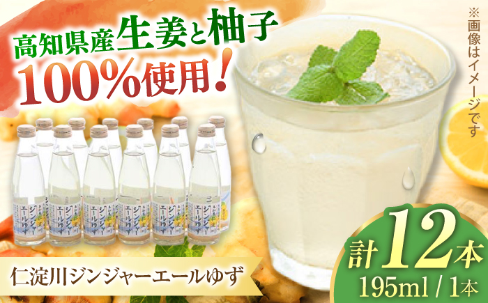 仁淀川ジンジャーエールゆず12本/ 土佐生姜 スパークリング ジンジャーエール 爽やか【はるのTERRACE】 [ATAV006]