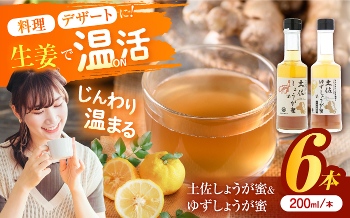 土佐しょうが蜜・ゆずしょうが蜜6本セット/ 土佐生姜 ほっこりジンジャー【はるのTERRACE】 [ATAV011]